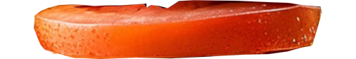 burger2